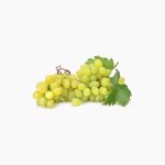 seedless-white-grape